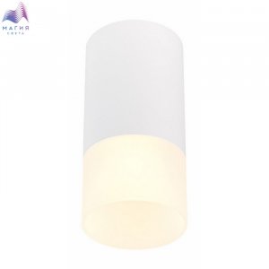 000000816144.jpg