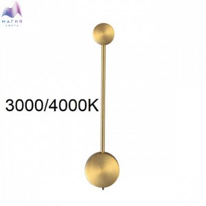 000001031096.jpg