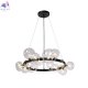 AGATA SP15 V2 BLACK-TRANSPARENTE (3)