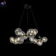 AGATA SP15 V2 BLACK-TRANSPARENTE (4)