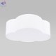 4228 Cloud