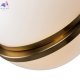 FR5181PL-01BS (2)