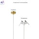 VERANO SP1 GOLD (4)