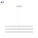 MOD163PL-L38W4K1 (4)