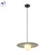 FR5390PL-01W