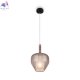 MOD271PL-01B6