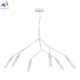 SLE1129-503-06 (2)