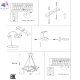 ZRS.01243.02 (9)