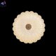 SOLARIS PL300 (5)