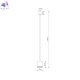 11513 (8)