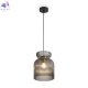 FR5558PL-01SM (2)