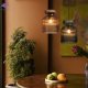 FR5558PL-01SM (5)