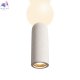 FR5530PL-L12W (3)