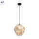 FR5548PL-01AM (2)