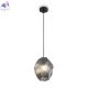 FR5547PL-01SM (2)
