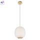 10425 White