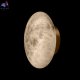 10414W-M (2)