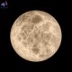 10414W-M (4)