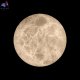 10414W-S (4)
