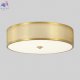 BUTTON PL32W LED (7)