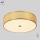BUTTON PL32W LED