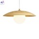 FR5589PL-01T (3)