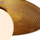 FR5589PL-01T1 (3)
