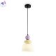 FR5595PL-01B