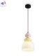 FR5595PL-01B4 (2)