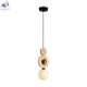 FR5593PL-01B1 (2)