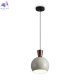 FR5598PL-01CR1 (2)