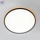 CL749601 (9)