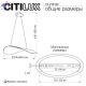 CL213132 (10)