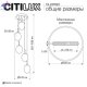 CL247023 (8)