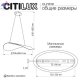 CL213131 (11)
