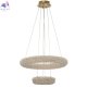 CL323172 (3)