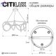 CL220281 (10)