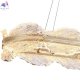 4050-03-12PL (2)