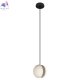 10481 White