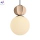 FR5629PL-01LBG (3)
