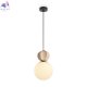 FR5629PL-01LBG