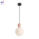 FR5629PL-01PC (2)