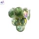 10492W Green (3)