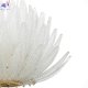 CL327160 (6)