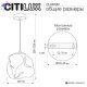CL247081 (9)