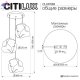 CL247083 (10)