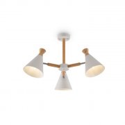 Потолочная люстра Freya Rise FR5169PL-03W